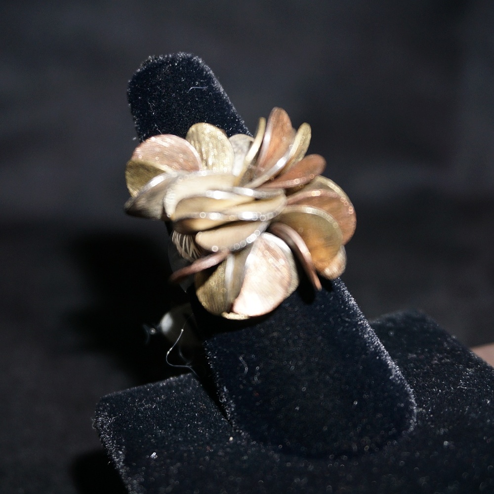 Silpada R1978 Tri-Tone Cha Cha Ring